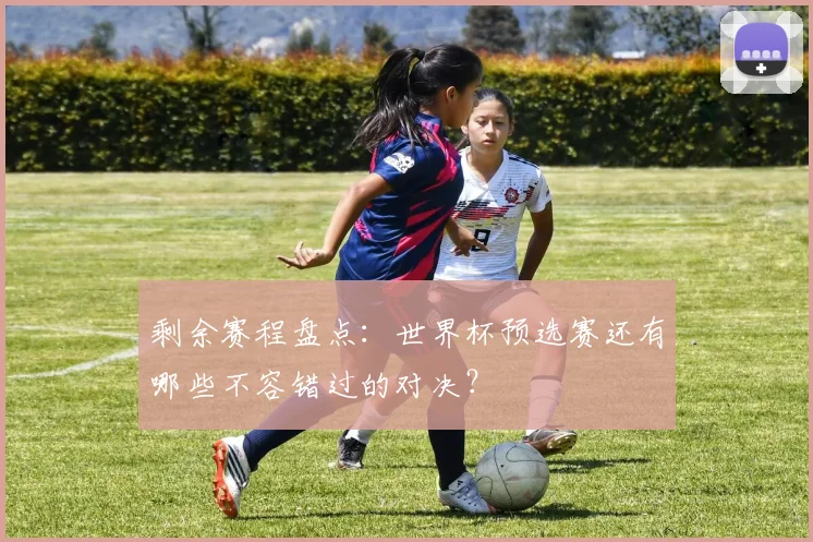 剩余赛程盘点：世界杯预选赛还有哪些不容错过的对决？