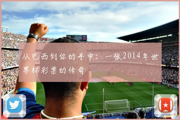 从巴西到你的手中:一张2014年世界杯彩票的传奇