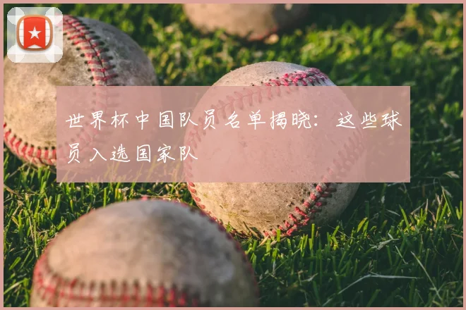 世界杯中国队员名单揭晓:这些球员入选国家队
