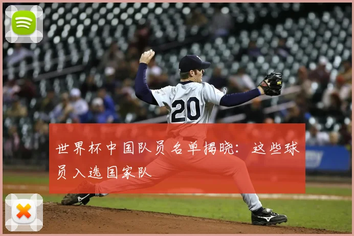 世界杯中国队员名单揭晓：这些球员入选国家队